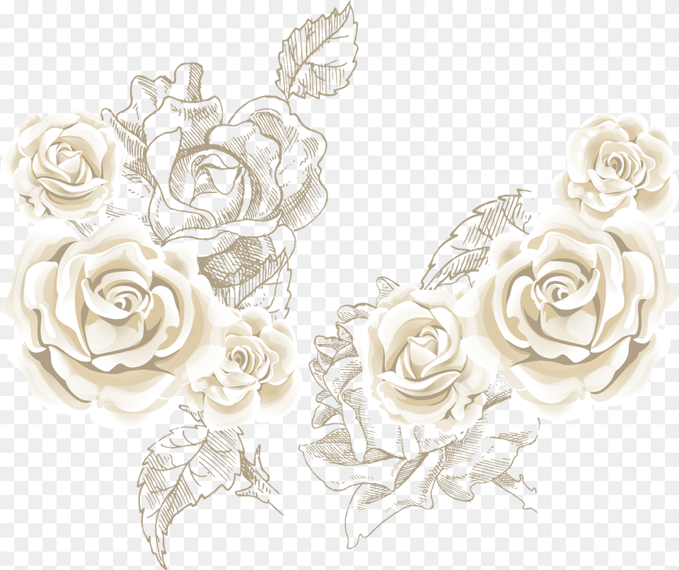 White Roses Background Vector White Rose Vector, Flower, Plant, Art, Graphics Png Image