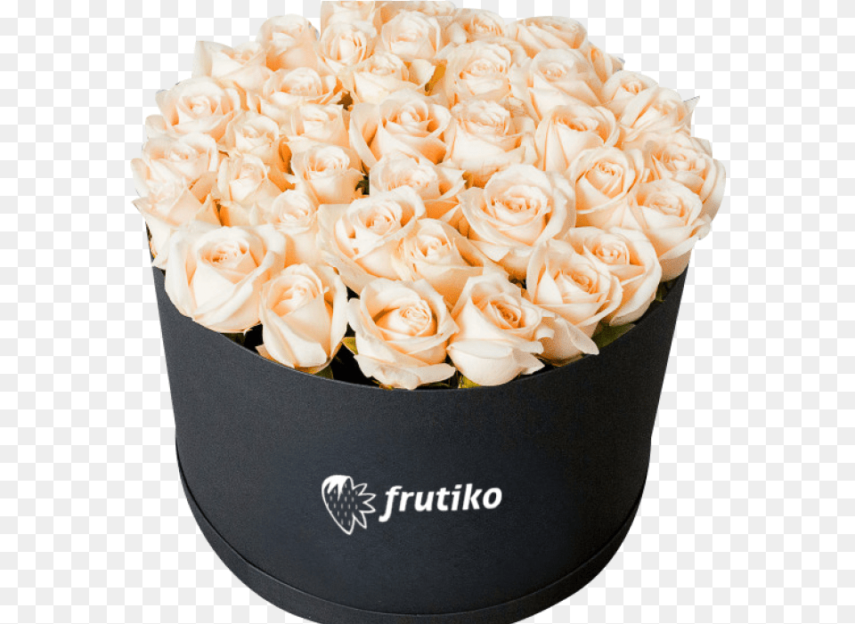 White Roses Black In Box, Rose, Plant, Food, Flower Bouquet Free Png