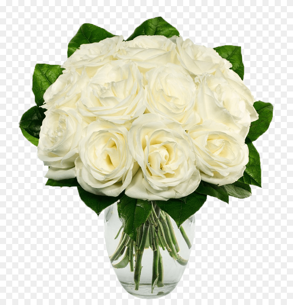 White Roses Flower Bouquet White Roses, Flower Arrangement, Flower Bouquet, Plant, Rose Free Png Download
