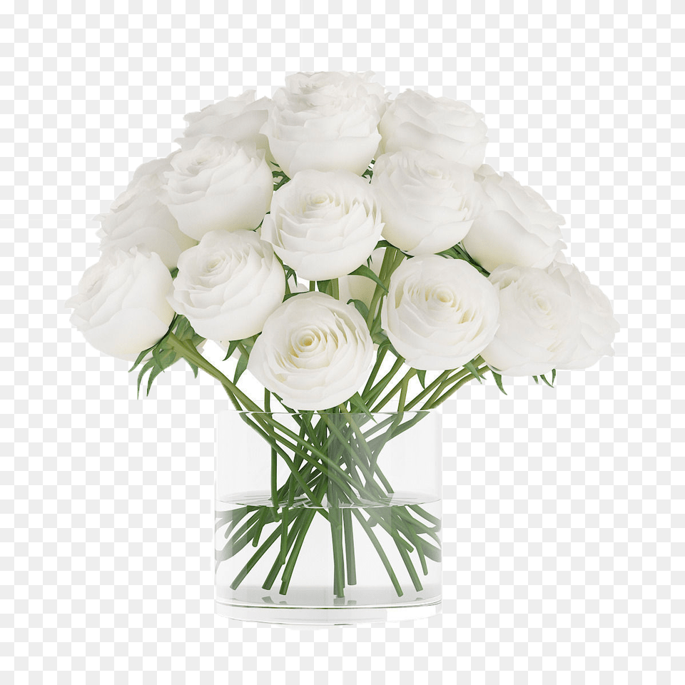 White Roses Download White Flower Vase, Flower Arrangement, Flower Bouquet, Plant, Rose Free Transparent Png