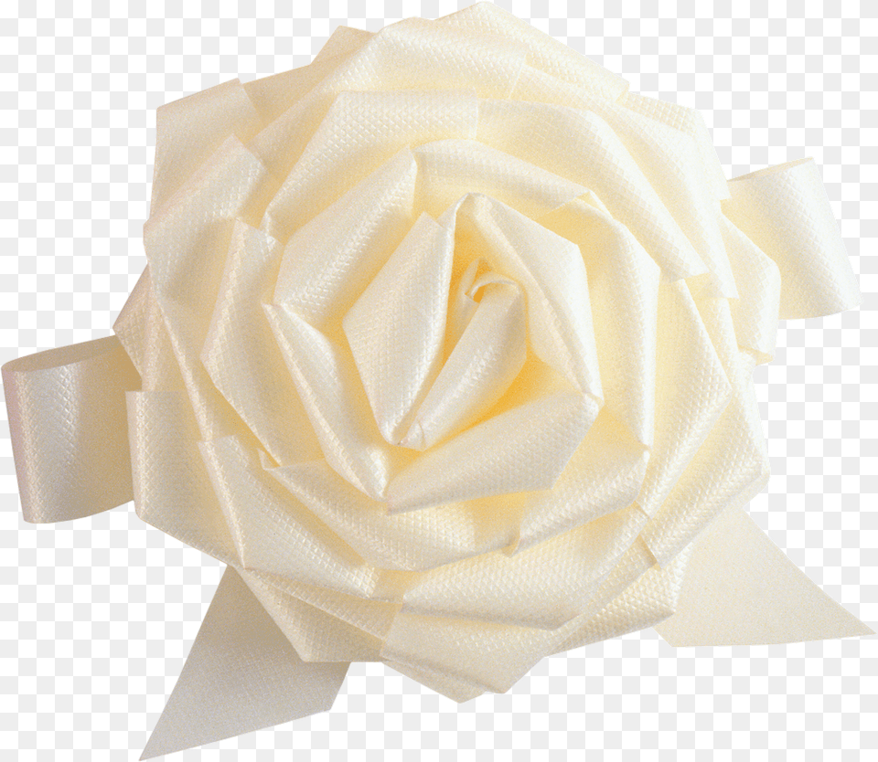 White Roses Garden Roses, Paper, Flower, Plant, Rose Free Transparent Png
