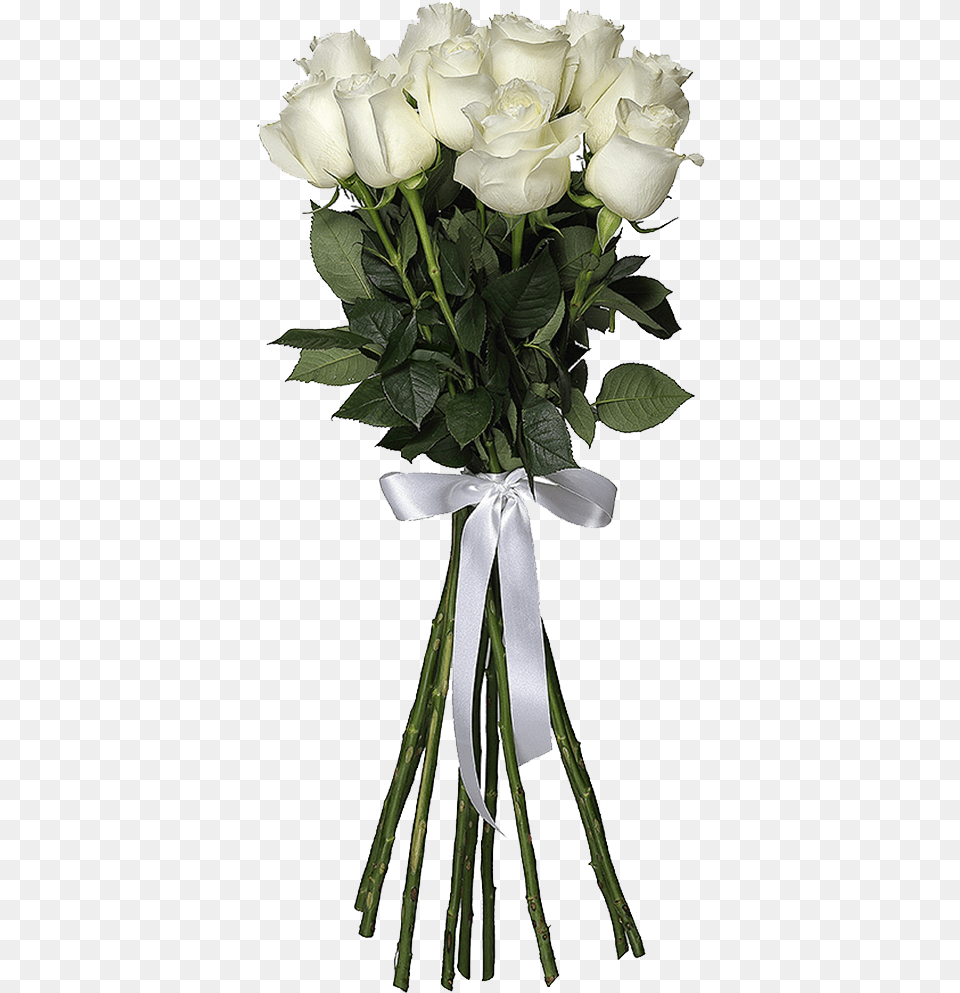 White Roses Hd Images, Flower, Flower Arrangement, Flower Bouquet, Plant Free Png