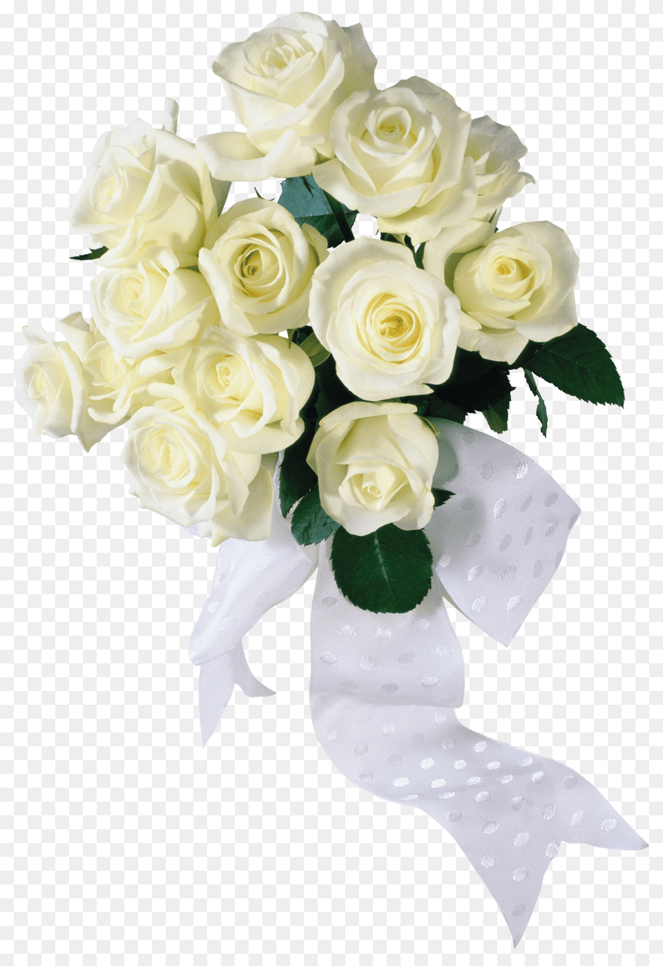 White Roses Image White Flowers Bouquet, Flower, Flower Arrangement, Flower Bouquet, Plant Free Transparent Png