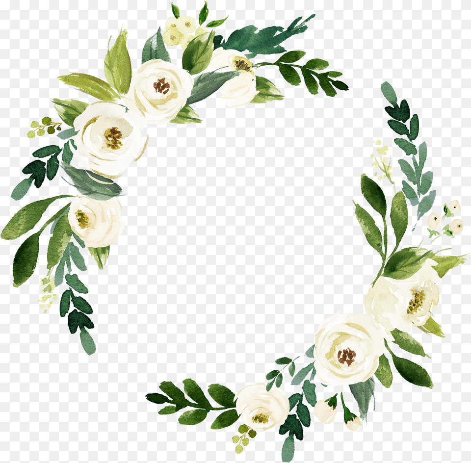 White Roses Watercolor White Flower, Art, Floral Design, Graphics, Pattern Png