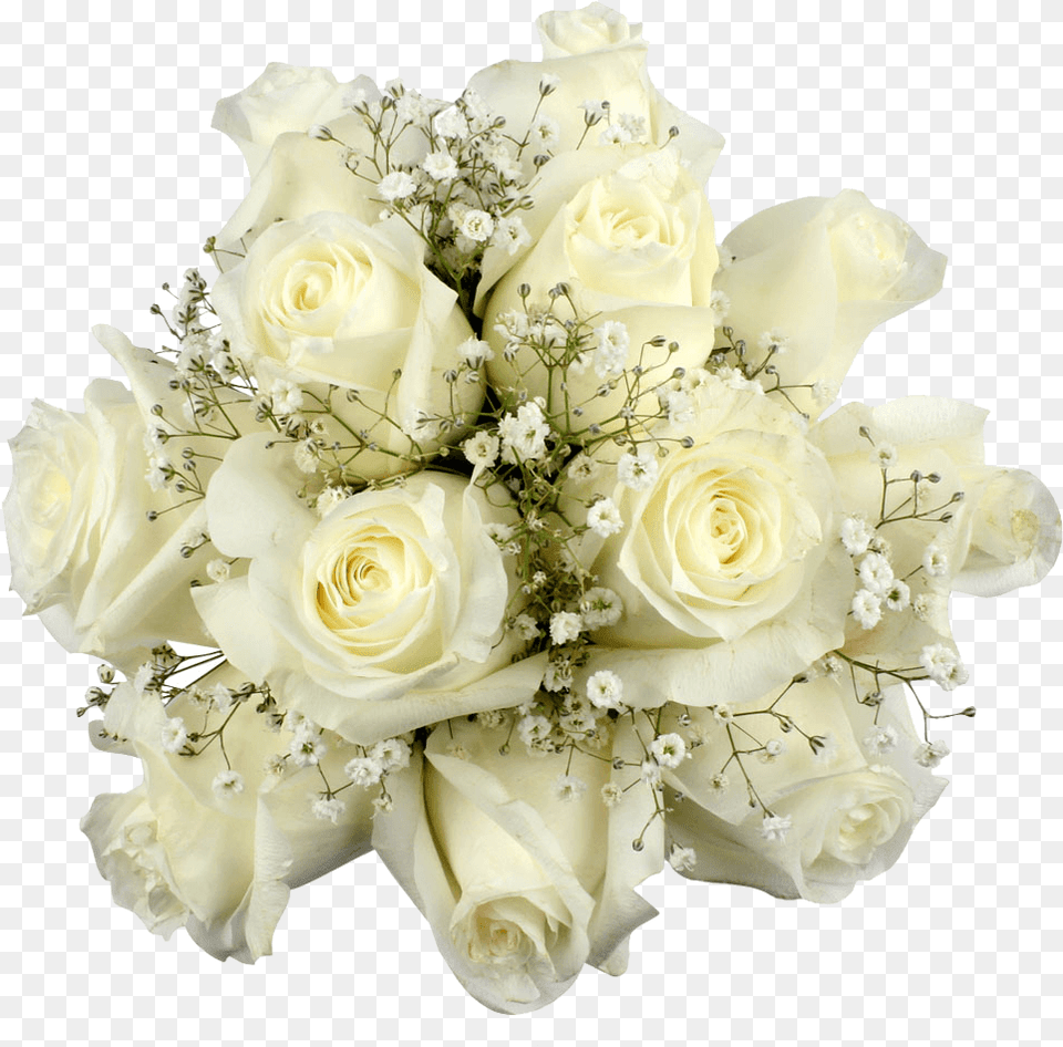 White Roses With Babys Breath Floral Arrangements Floribunda, Rose, Plant, Flower, Flower Arrangement Png