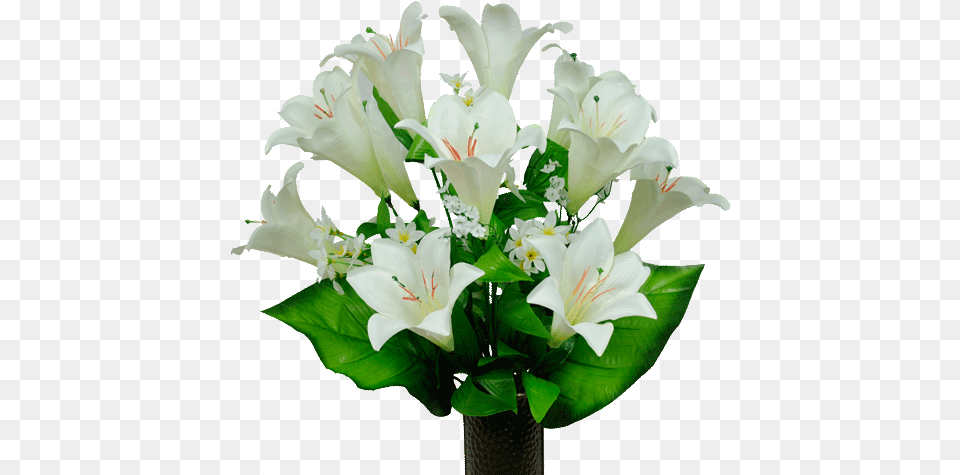 White Satin Lily Flower, Flower Arrangement, Flower Bouquet, Plant Free Png
