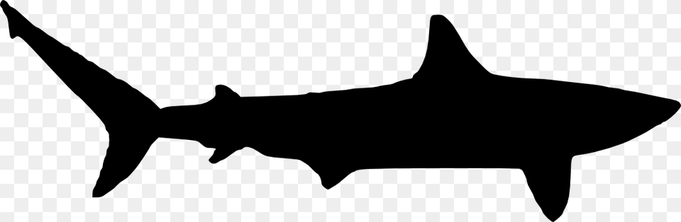 White Shark Silhouette At Getdrawings, Animal, Fish, Sea Life Png Image