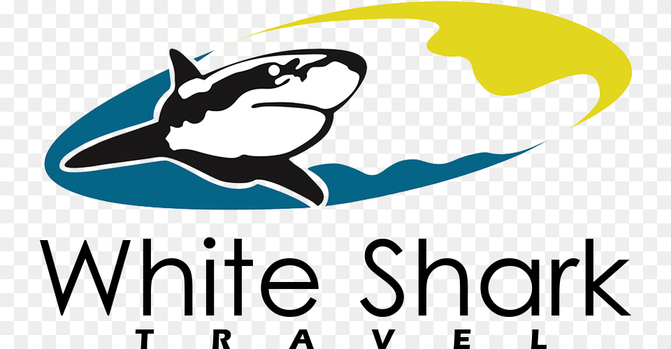 White Shark Travel White Shark, Logo, Animal, Sea Life Free Transparent Png