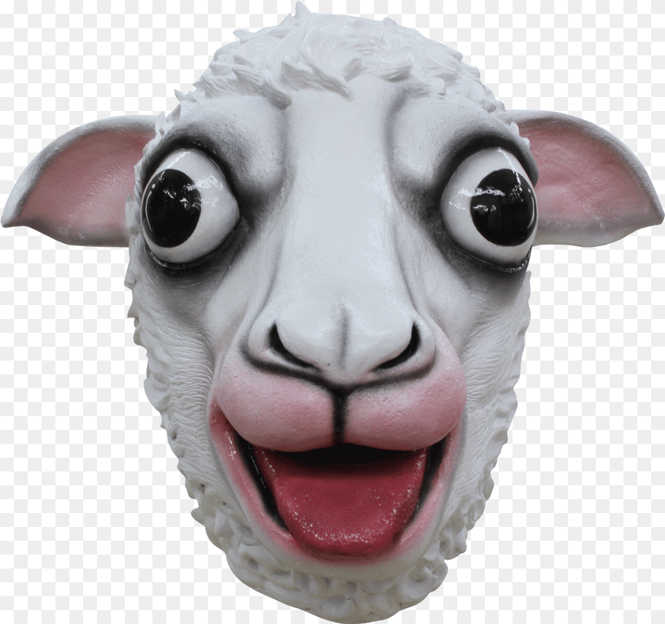 White Sheep Sheep Head Transparent Background, Baby, Person, Livestock, Animal Png Image