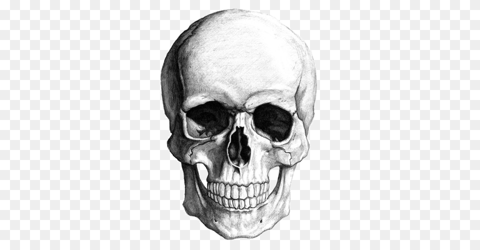 White Skull Drawing, Adult, Male, Man, Person Free Png Download