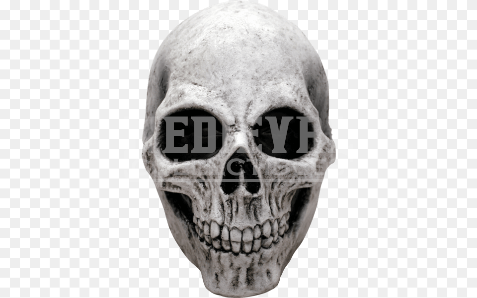 White Skull Mask Adult Halloween Deluxe White Skull Mask, Head, Person, Face, Male Free Png