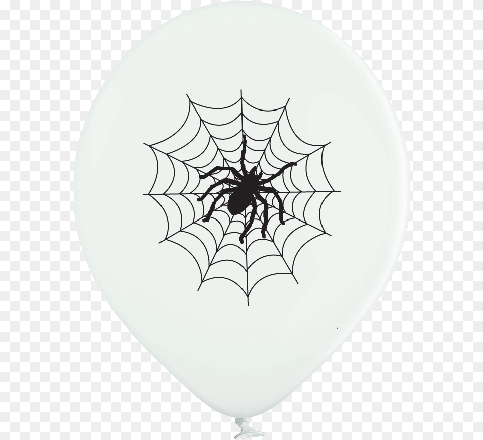 White Spider Web, Spider Web, Animal, Invertebrate, Plate Free Png Download