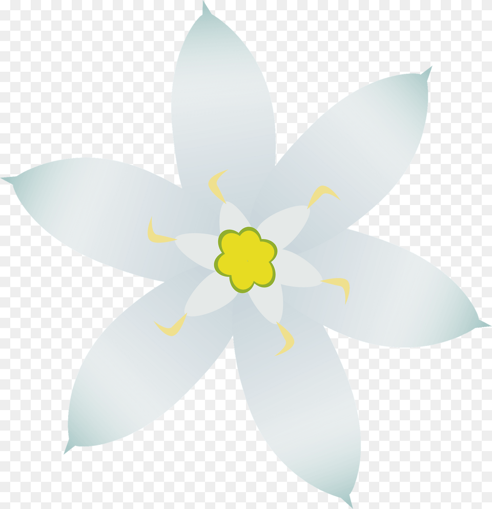 White Star Of Bethlehem Flower Clipart, Anther, Plant, Animal, Fish Png