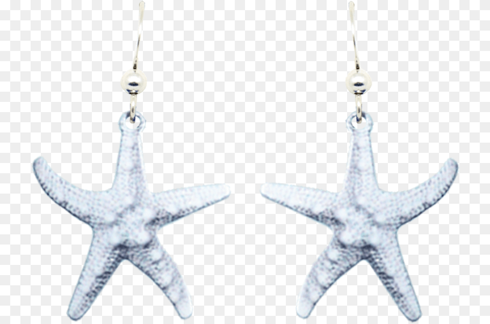 White Starfish Earrings, Accessories, Earring, Jewelry, Animal Png Image