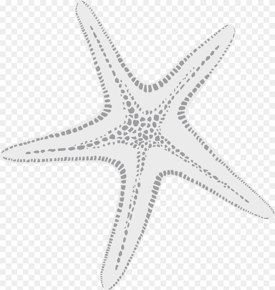 White Starfish New Year Images For Whatsapp Dp Dot, Animal, Sea Life, Invertebrate, Blade Png Image