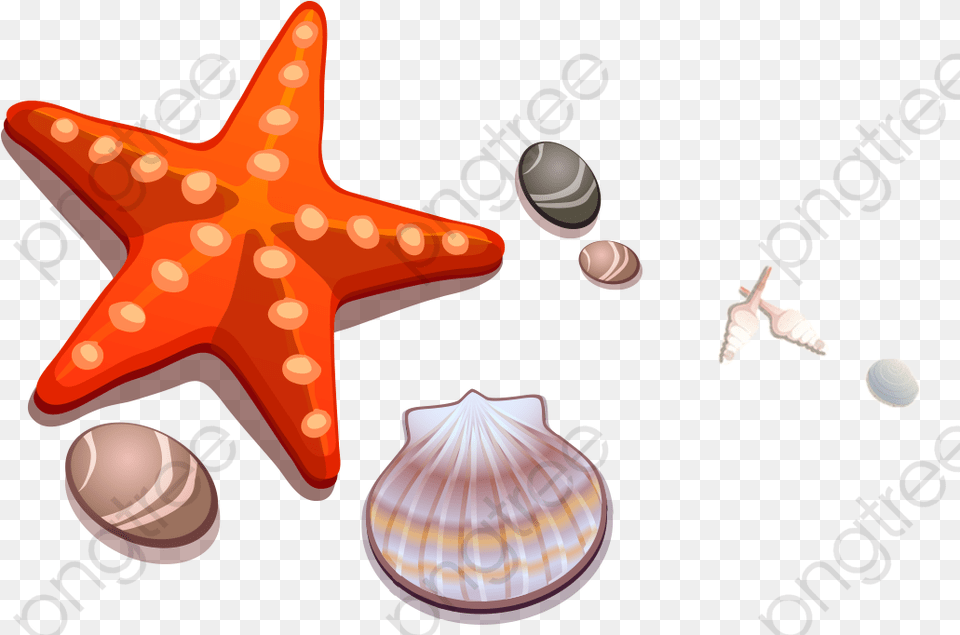 White Starfish Starfish And Shell Clipart, Animal, Sea Life, Bird Free Png