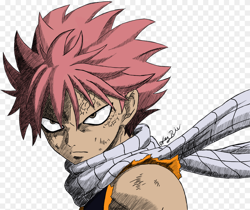 White Stock Fairy Tail Drawing Drawing Anime Natsu Fairy Tail, Book, Comics, Publication, Person Free Png Download