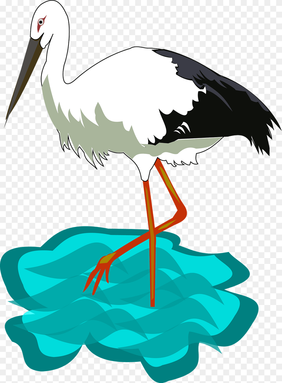 White Stork Clipart, Animal, Bird, Waterfowl, Crane Bird Free Png