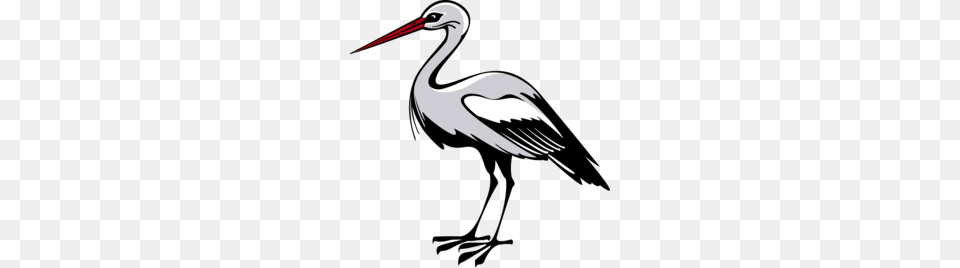 White Stork Clipart, Animal, Bird, Crane Bird, Waterfowl Png