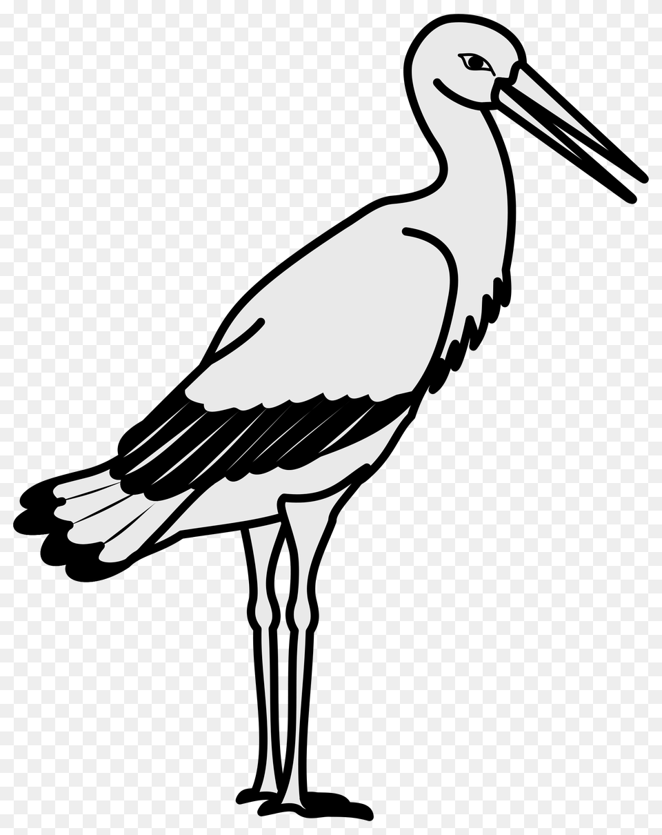 White Stork Crane Bird Clip Art, Animal, Waterfowl, Crane Bird Png