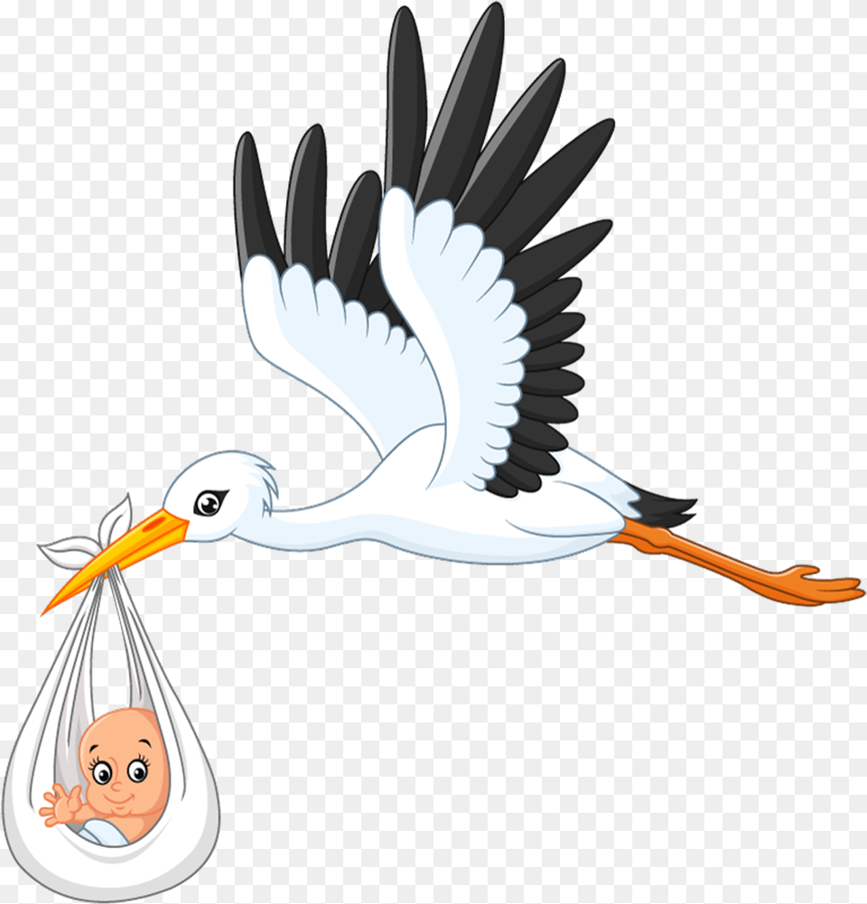 White Stork Infant Clip Art Stork Cartoon Flying, Animal, Bird, Waterfowl, Crane Bird Png