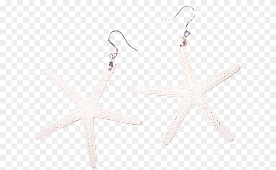 White Sugar Starfish Earrings Earrings, Accessories, Earring, Jewelry, Animal Png