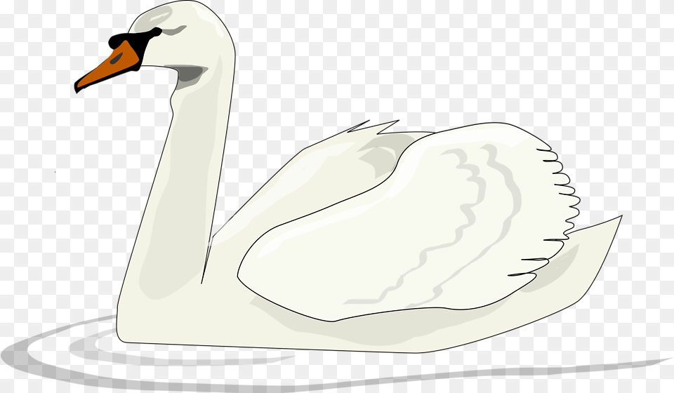 White Swan Download Clipart Swan Clip Art, Animal, Bird, Anseriformes, Waterfowl Png Image