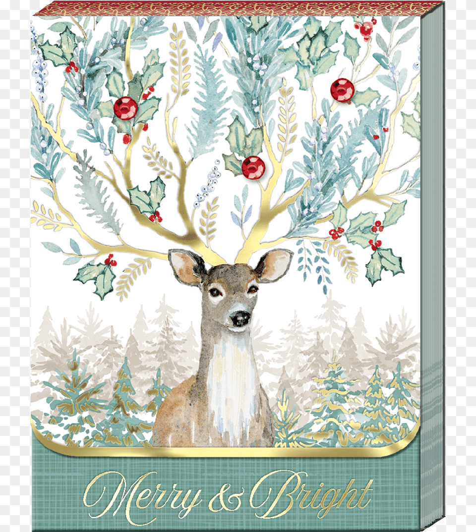 White Tailed Deer, Animal, Envelope, Greeting Card, Mail Free Png Download