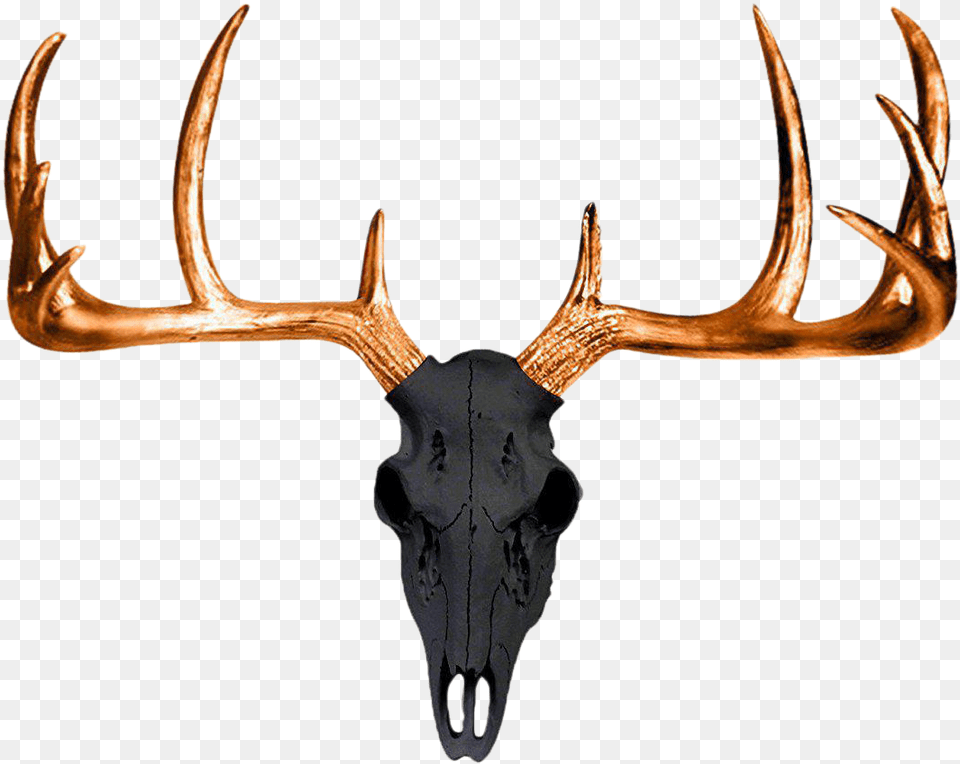 White Tailed Deer Antler Wall Decal Skull Faux Deer Skull, Blade, Dagger, Knife, Weapon Free Png
