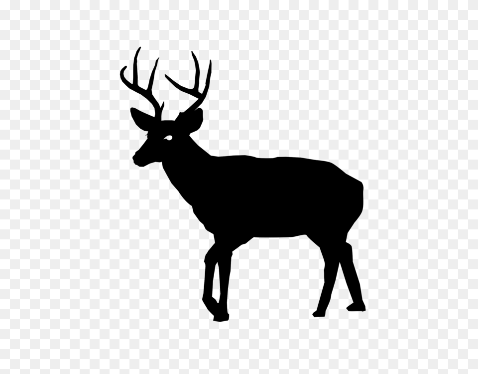 White Tailed Deer Art, Gray Free Transparent Png