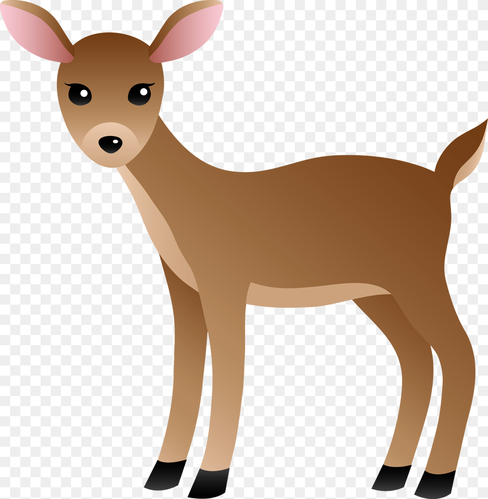 White Tailed Deer Clipart, Animal, Mammal, Wildlife, Kangaroo Free Png Download