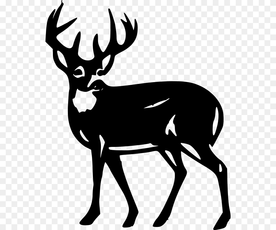 White Tailed Deer Clipart Rocks, Gray Png Image
