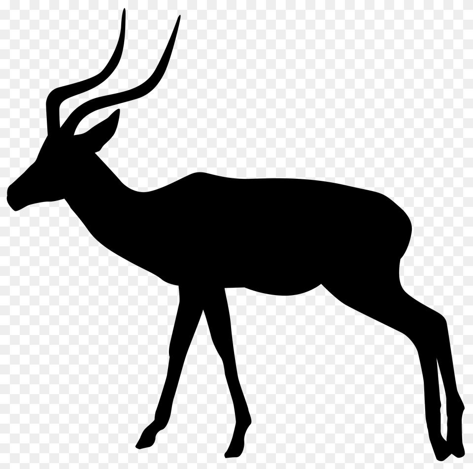 White Tailed Deer Clipart Rusa, Silhouette, Stencil Png