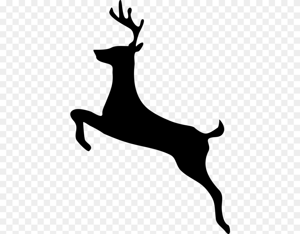 White Tailed Deer Deer Hunting Silhouette, Gray Free Png