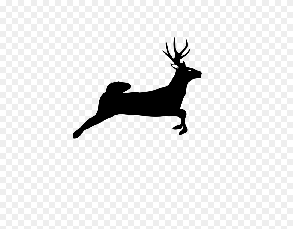 White Tailed Deer Horse Moose Show Jumping, Gray Free Png