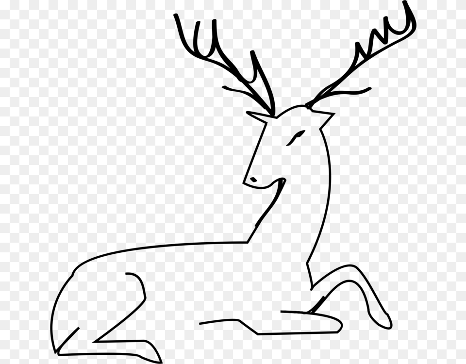 White Tailed Deer Moose Reindeer Elk, Gray Png Image