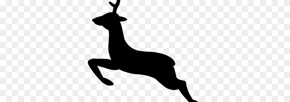 White Tailed Deer Moose Reindeer Elk, Gray Free Png
