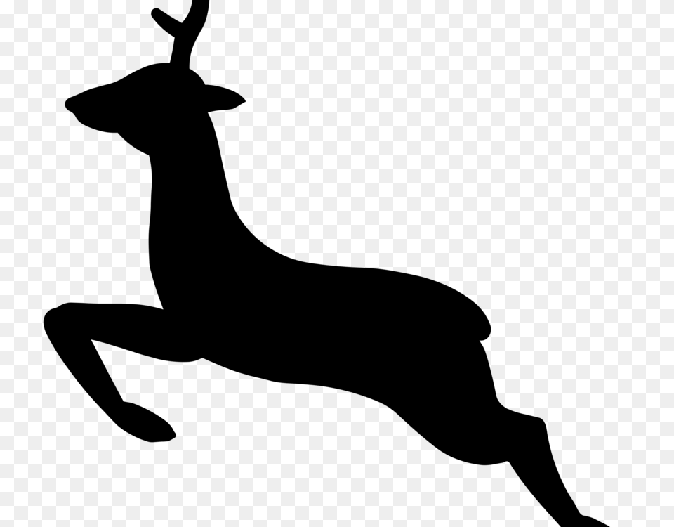 White Tailed Deer Red Deer Elk Roe Deer, Gray Png Image