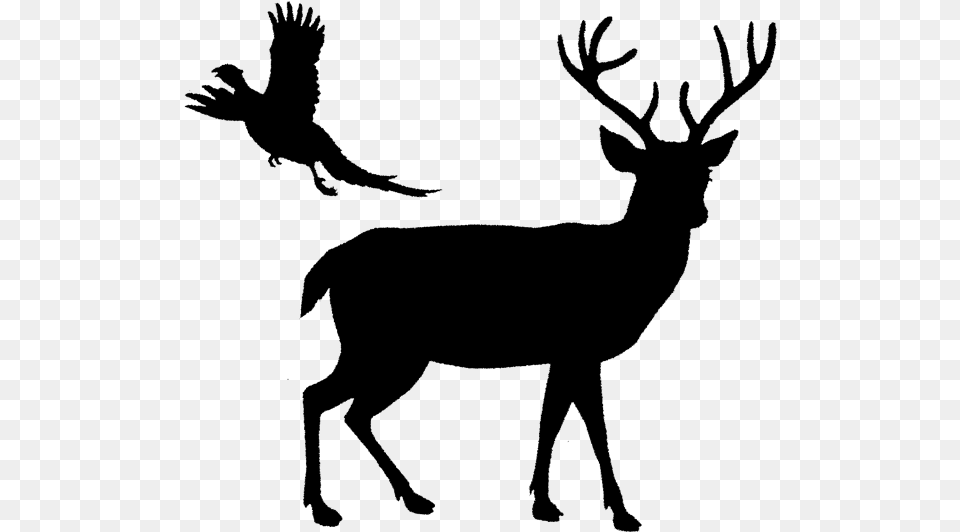 White Tailed Deer Reindeer Elk Deer Silhouette, Gray Free Transparent Png