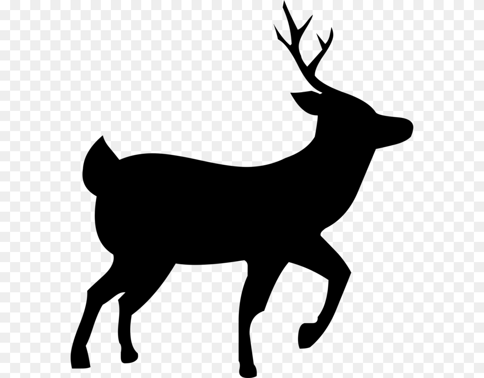 White Tailed Deer Roe Deer Red Deer Rudolph, Gray Png Image