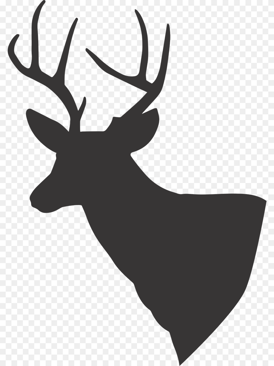 White Tailed Deer Vector, Animal, Mammal, Wildlife, Elk Free Png Download