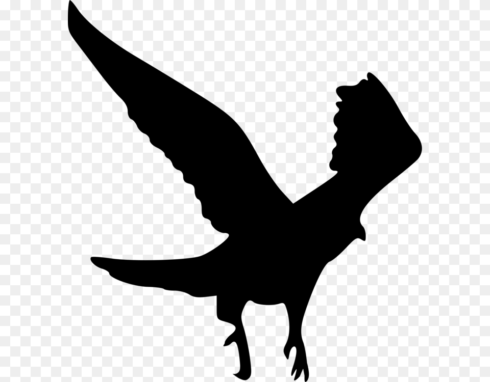 White Tailed Eagle Bald Eagle Bird Silhouette, Gray Free Png Download