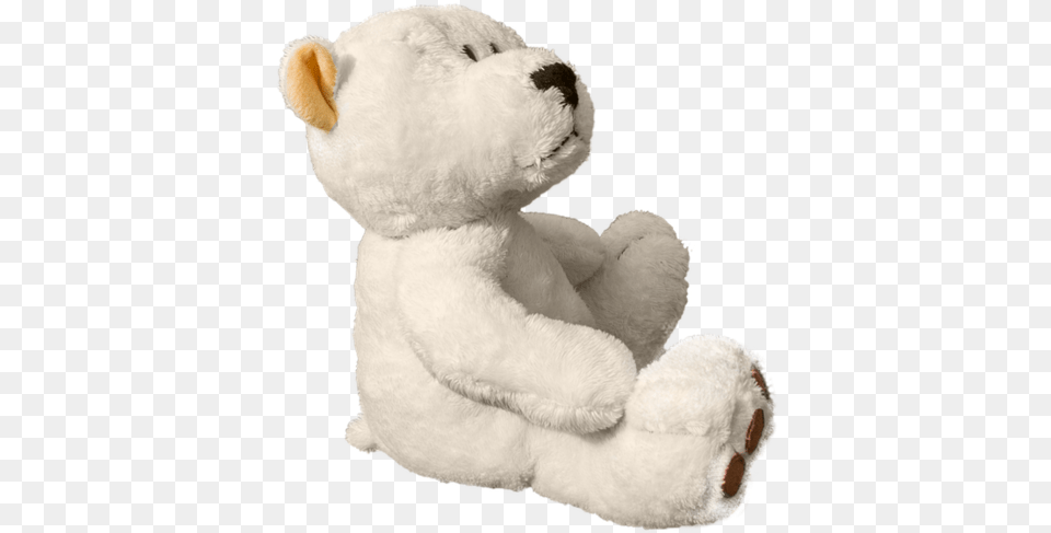 White Teddy Bear, Toy, Teddy Bear, Plush Png Image