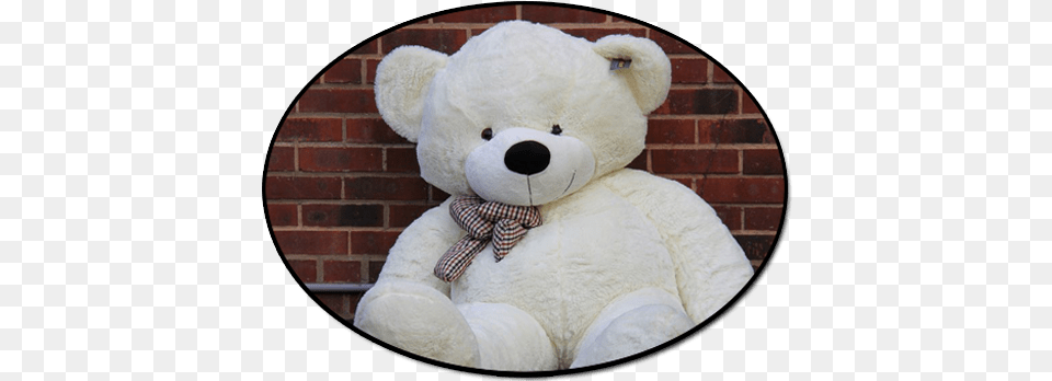 White Teddy Bear Joyfay Giant Teddy Bear 200cm 2m White, Teddy Bear, Toy, Accessories, Formal Wear Free Png Download