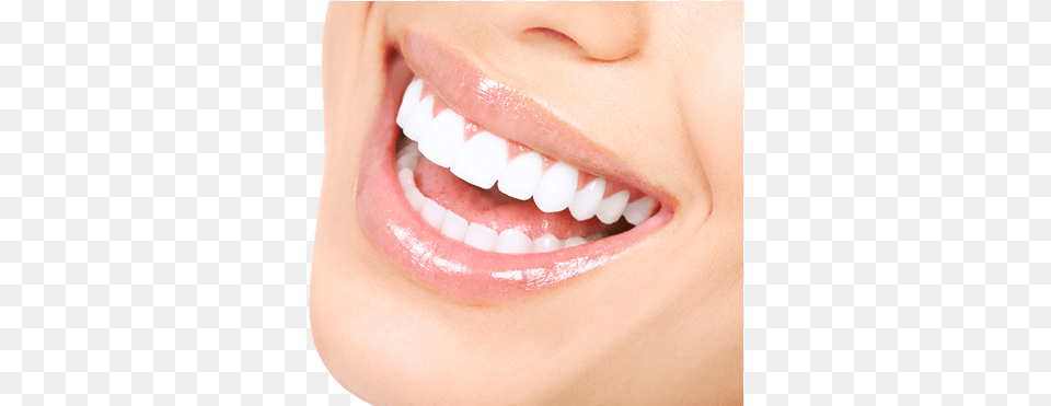 White Teeth Image Crest 3d White Vivid Teeth Whitening Strips 10 Count, Body Part, Mouth, Person, Adult Free Png Download