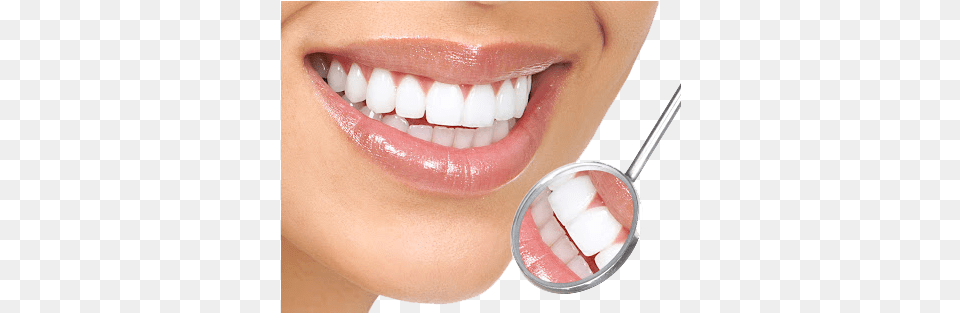 White Teeth Transparent Background Thm M Rng P, Body Part, Mouth, Person, Adult Free Png Download