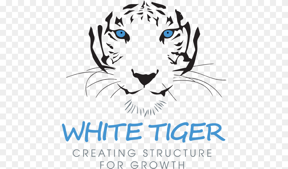 White Tiger, Animal, Mammal, Panther, Wildlife Png Image