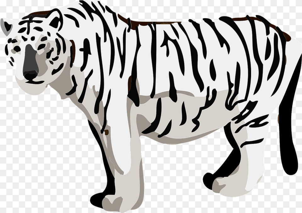 White Tiger Animal Clipart Download Creazilla Tiger, Stencil, Baby, Person, Mammal Png Image