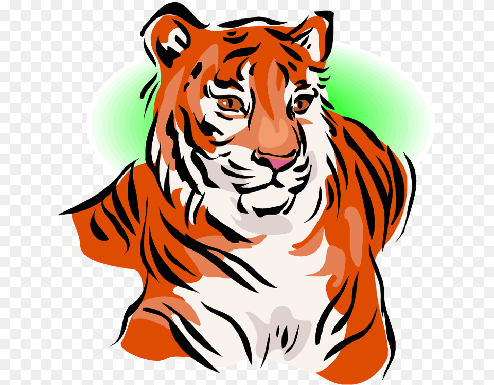 White Tiger Clipart Simple, Baby, Person, Animal, Mammal Free Png