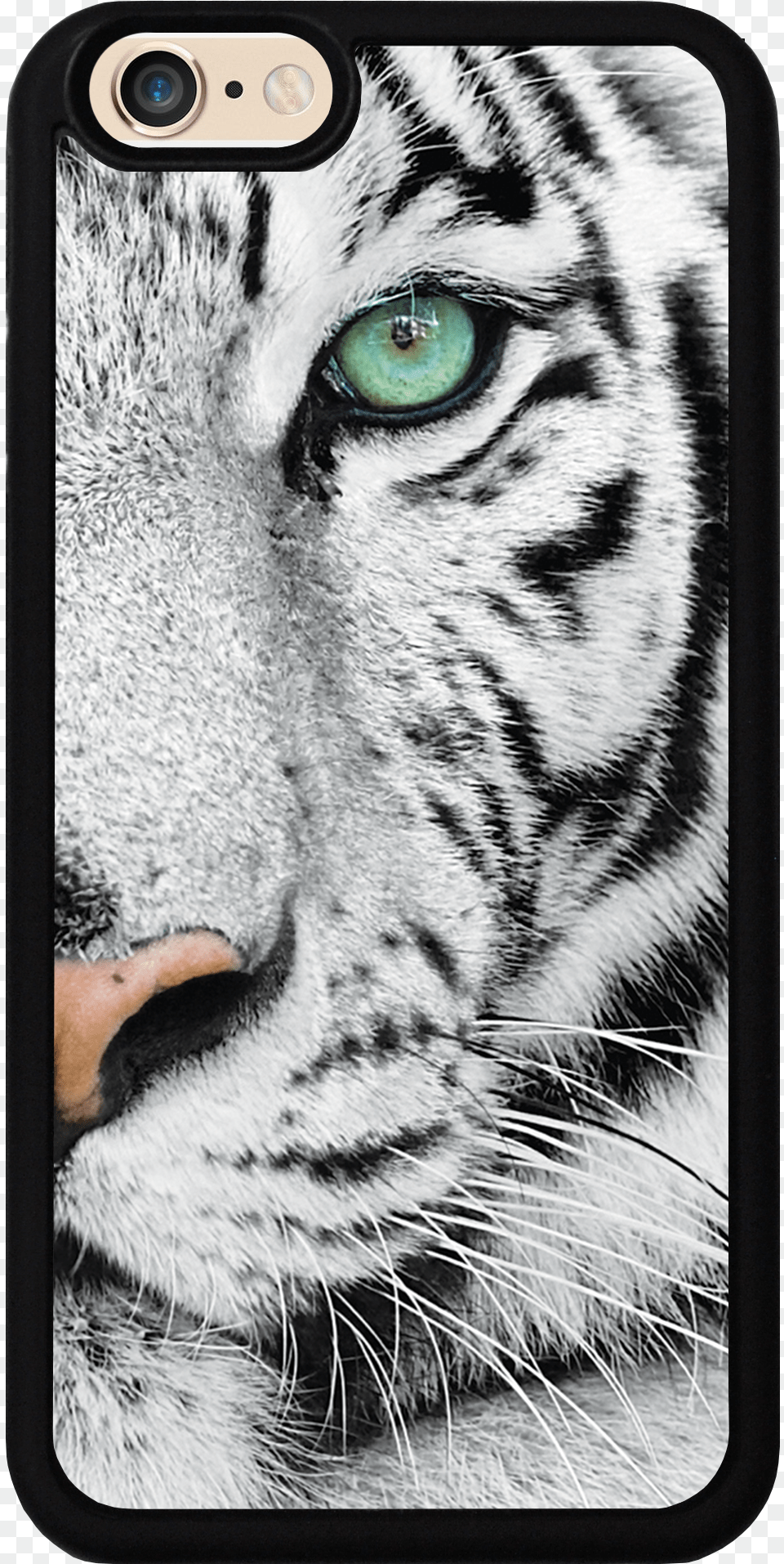 White Tiger Face Case Tiger Iphone 8 Case, Animal, Mammal, Wildlife Png